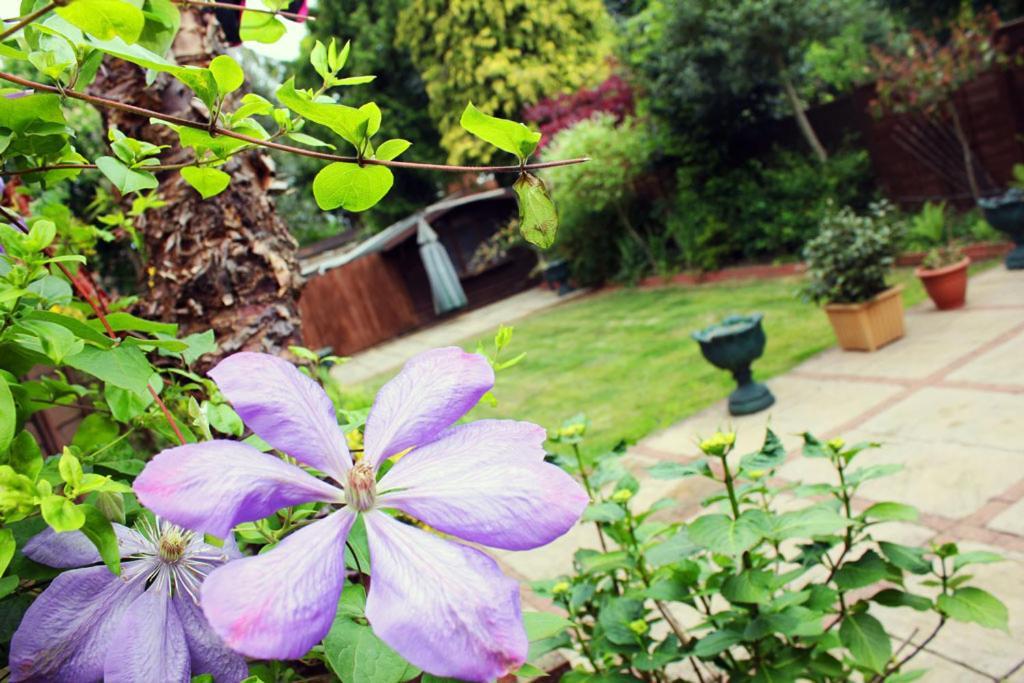 Gidea Park Hotel ラムフォード エクステリア 写真